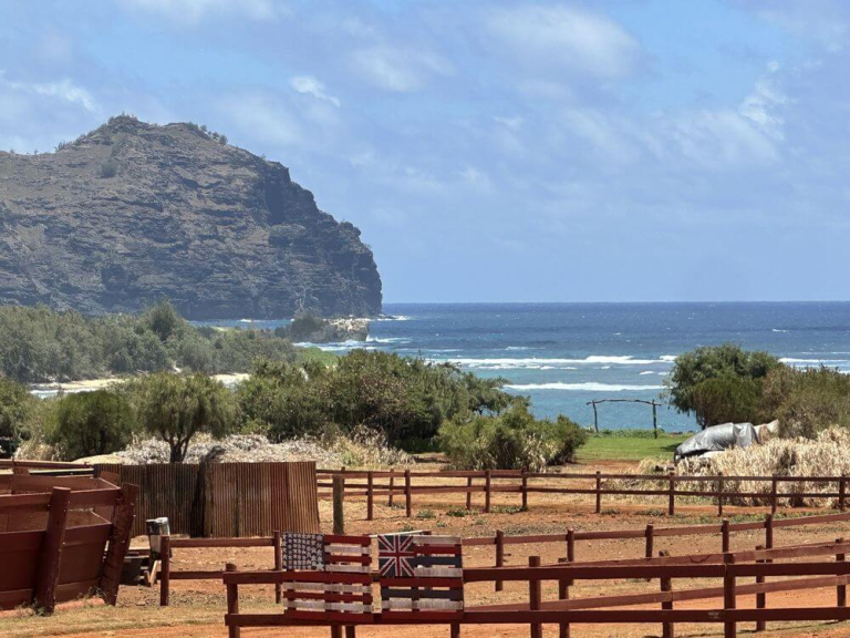 cjm-country-stables-secret-beach-horseback-ride-picnic-beach-view