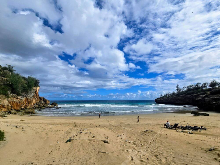 cjm-country-stables-secret-beach-horseback-ride-picnic-secret-beach