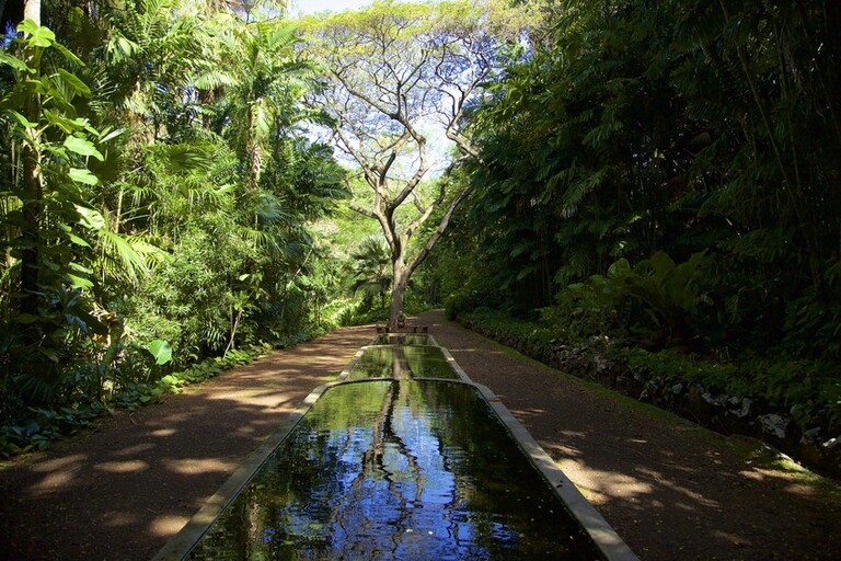 National_tropical_botanical_garden_best_of_both_worlds_Feature_slide_3.3