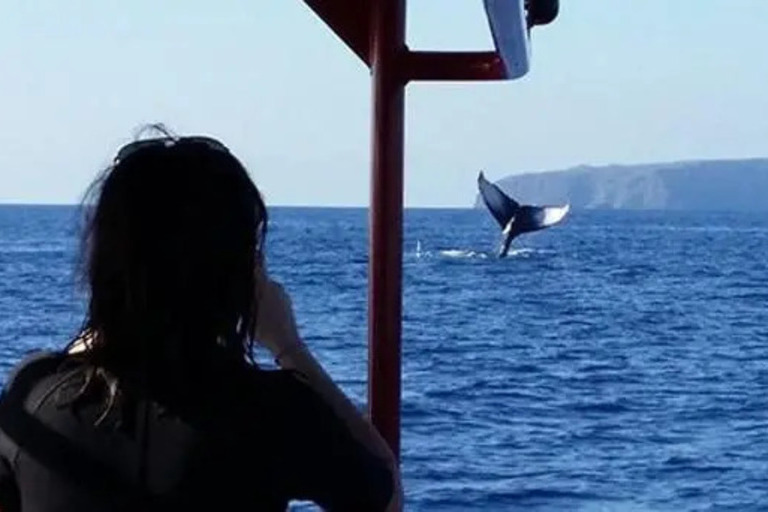 Redline_Rafting_Whale_Watch_Feature_4