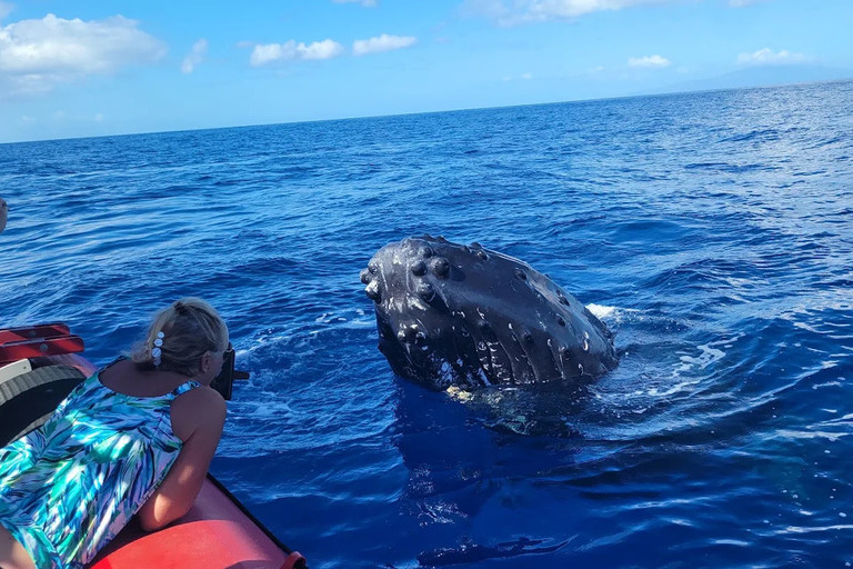 Redline_Rafting_Whale_Watch_Feature_5