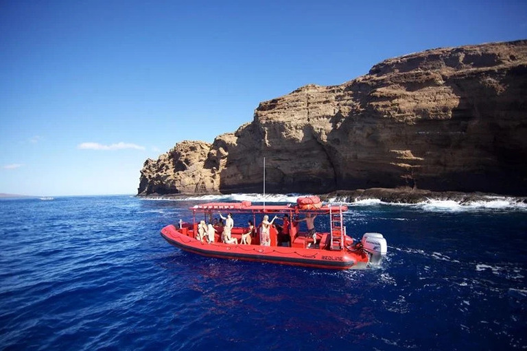 Redline_Rafting_Whale_Watch_Feature_7