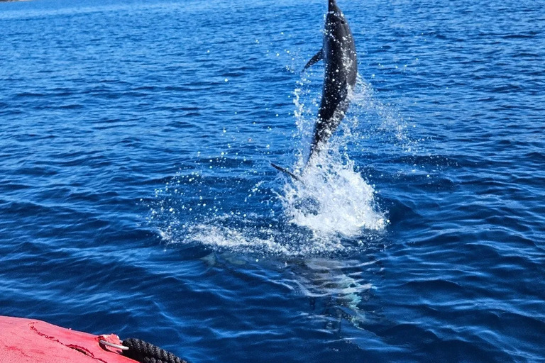 Redline_Rafting_Whale_Watch_Feature_9