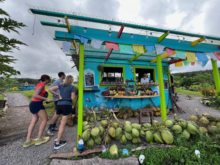 big island bike tours llc waipio valley lookout road bike tour drink
