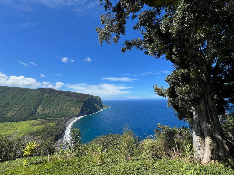 big island bike tours llc waipio valley lookout road bike tour scenic view