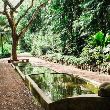 beautiful garden