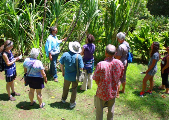 group of people on guided nature tour