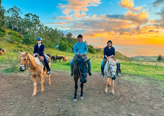 horseback riding on a mountain view