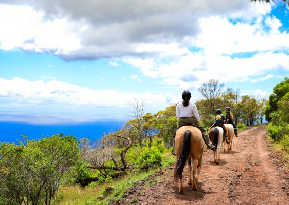 kids horseback riding