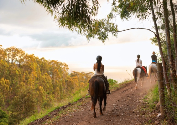 mountain horseback riding