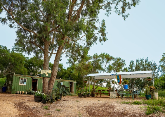 small cafe on the mountain
