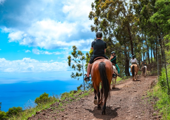 horseback riding on a blue sky view