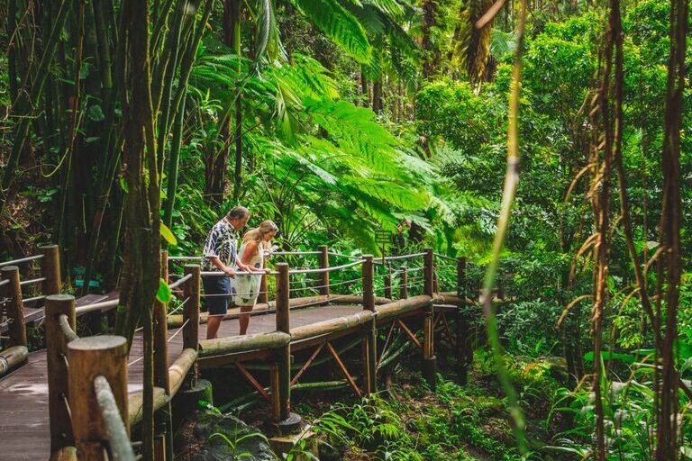 Hawaii_Tropical_Botanical_Garden_Guided_Tour_Feature_slide_1.1