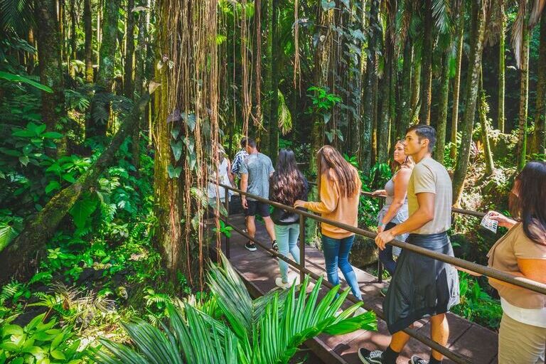 Hawaii_Tropical_Botanical_Garden_Guided_Tour_Feature_slide_1.2