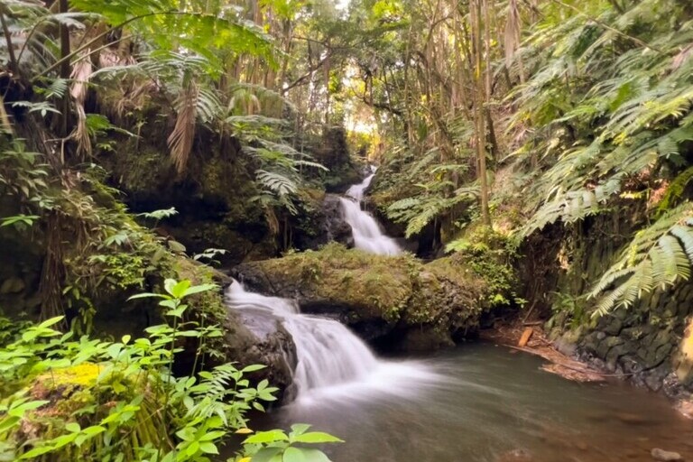 hawaii tropical botanical garden tour waterfalls