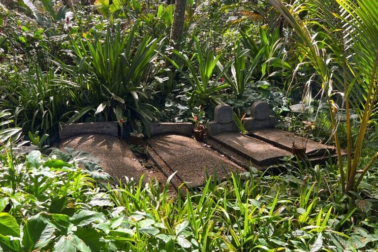 Hawaii_Tropical_Botanical_Garden_Guided_Tour_Feature_slide_3.3