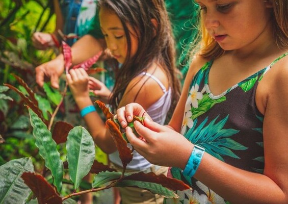 Hawaii_Tropical_Botanical_Garden_Guided_Tour_Slider_4