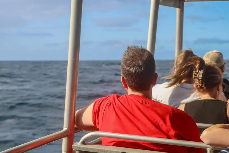 Kauai_Sea_Tours_Express_Na_Pali_Sunset_Tour_aboard_Imiloa_Feature_slide_1.1