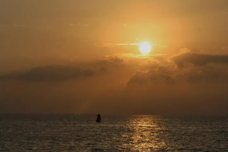Kauai_Sea_Tours_Express_Na_Pali_Sunset_Tour_aboard_Imiloa_Feature_slide_2.6