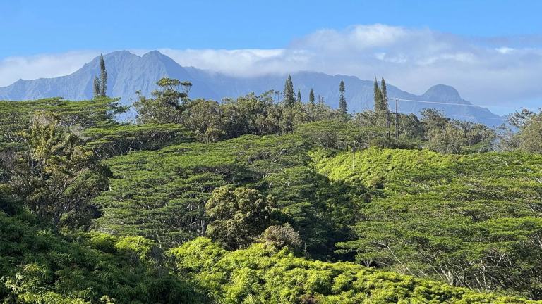Kilohana Crater Expeditions Scenic Kilohana Crater Rim Views Surrounded by Lush Mountains