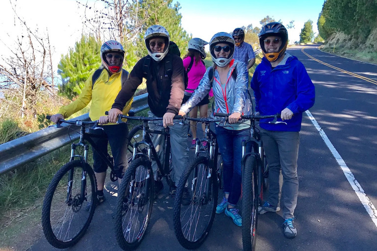 Maui_Sunriders_Bike_Company_North_Shore_Maui_E_Bike_Tour_Feature_7
