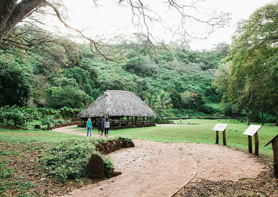 National_tropical_botanical_garden_best_of_both_worlds_Slider_1