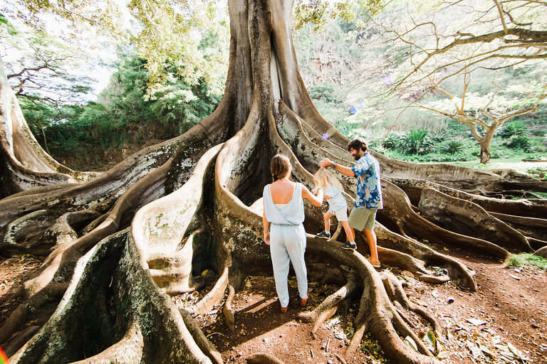 national_tropical_botanical_garden_guided_allerton_tour_Feature_slide_1.2