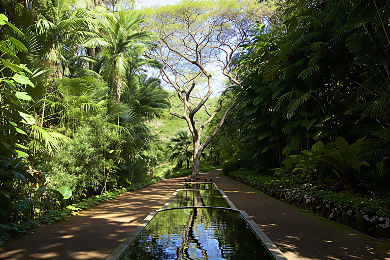 national_tropical_botanical_garden_guided_allerton_tour_Feature_slide_2.3