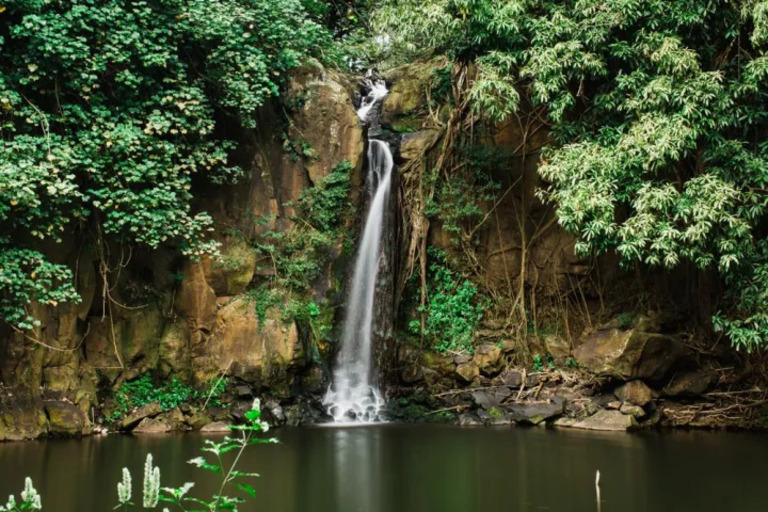 national_tropical_botanical_garden_guided_allerton_tour_Feature_slide_2.4