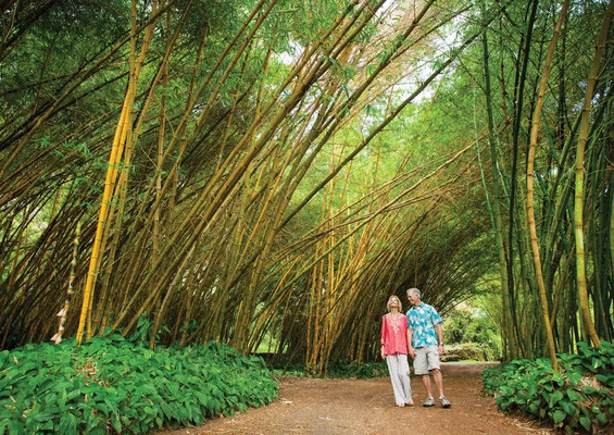 national_tropical_botanical_garden_guided_allerton_tour_Slider_1