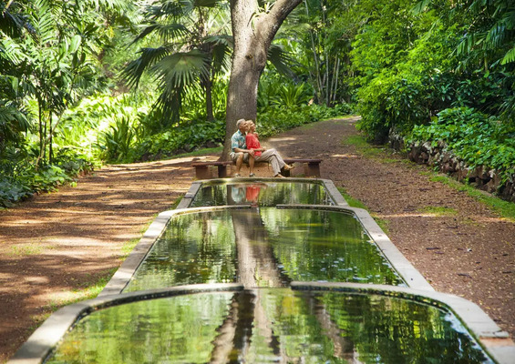 national_tropical_botanical_garden_guided_allerton_tour_Slider_3