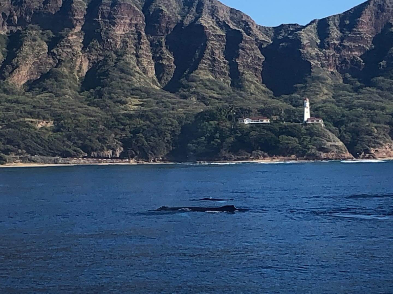 makani-catamaran-waikiki-fun-in-the-sun-sailing-cruise-diamond-head