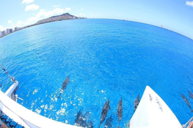 makani-catamaran-waikiki-fun-in-the-sun-sailing-cruise-dolphins-and-diamond-head