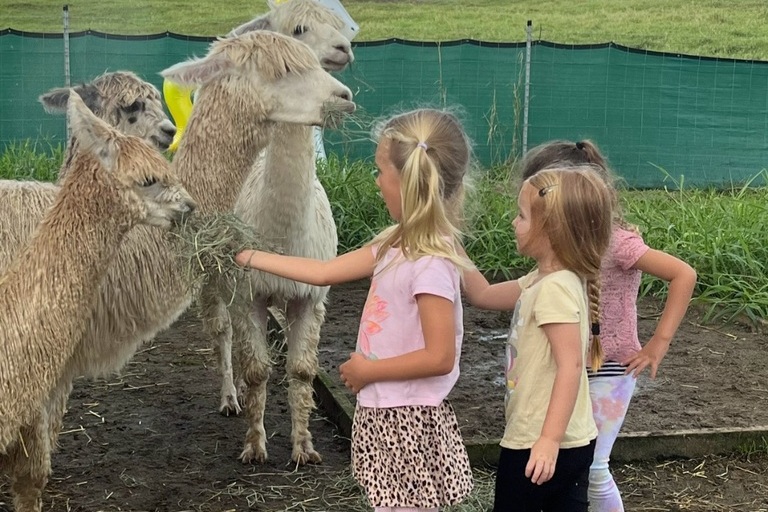 ola_nani_ranch_Ranch_Tour_and_Animal_Encounters_Feature_slide_1.1