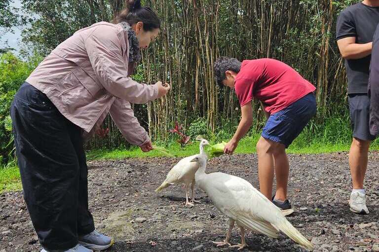 ola_nani_ranch_Ranch_Tour_and_Animal_Encounters_Feature_slide_1.3