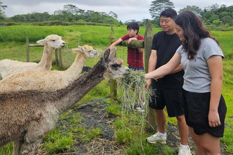 ola_nani_ranch_Ranch_Tour_and_Animal_Encounters_Feature_slide_1.4