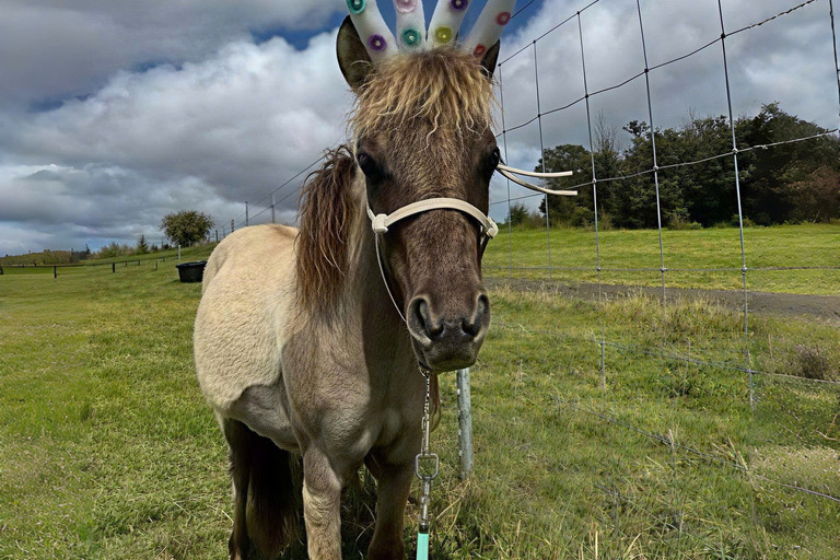 ola_nani_ranch_Ranch_Tour_and_Animal_Encounters_Feature_slide_2.4