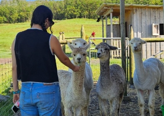ola_nani_ranch_Ranch_Tour_and_Animal_Encounters_Slider_1