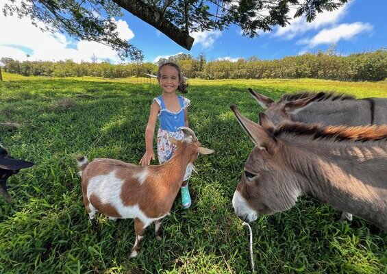 ola_nani_ranch_Ranch_Tour_and_Animal_Encounters_Slider_2
