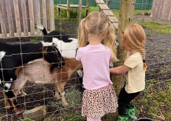 ola_nani_ranch_Ranch_Tour_and_Animal_Encounters_Slider_4